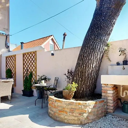 Garden Downtown Split