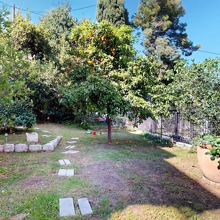 Garden Downtown Split